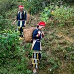 Community-Supported Agriculture: Connecting with Local Farmers