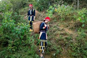 Community-Supported Agriculture: Connecting with Local Farmers