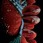 Digital Product Creation: Reducing Waste Through Virtual Recipe Testing