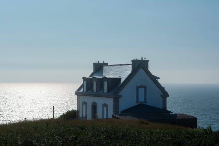 Rural Real Estate Revival: The Appeal of Country Living