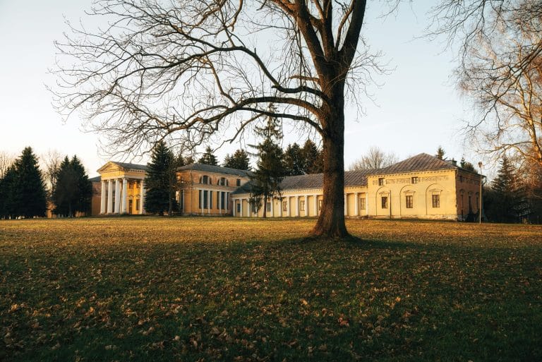 Rural Real Estate Revival: The Appeal of Country Living