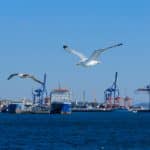 Waterfront Properties: Climate Change Considerations for Buyers