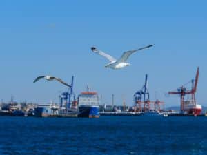 Waterfront Properties: Climate Change Considerations for Buyers