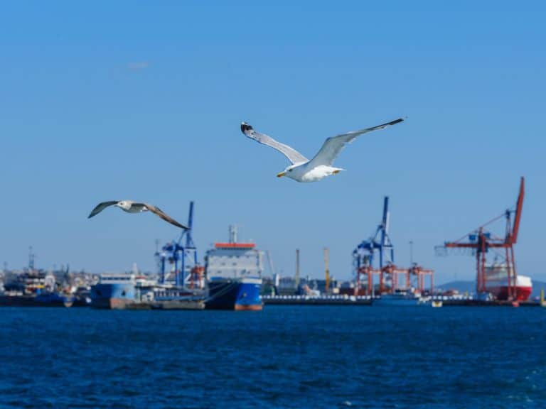 Waterfront Properties: Climate Change Considerations for Buyers