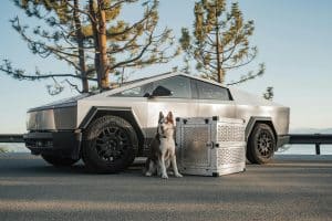 Electric Vehicle Incentives: What’s Changing in 2025?