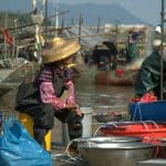 Marine and Blue Biotechnology: Sustainable Seafood Innovations