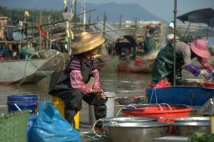 Marine and Blue Biotechnology: Sustainable Seafood Innovations