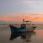 The Biotech Revolution in Food: What’s on the Horizon