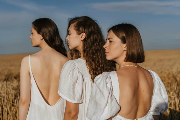 Fashion Transparency: Tracing Your Garment from Farm to Closet