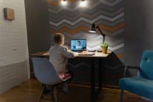 Securing Virtual Learning Environments: Best Practices