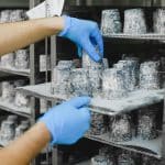 Hybrid Dairy: The Next Big Thing in Milk and Cheese