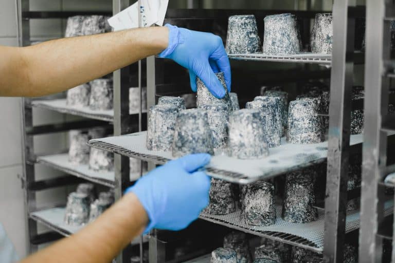 Hybrid Dairy: The Next Big Thing in Milk and Cheese