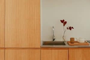 Smart Kitchen Appliances: Revolutionizing Home Cooking