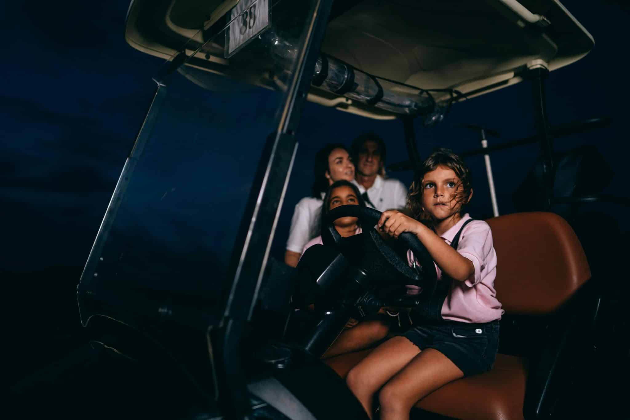 The Joy of Driving in an Autonomous Age