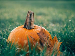 Fall in New York's Hudson Valley: A Road Trip Through Autumn Colors