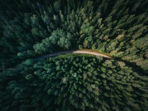Best National Parks for Nature-Focused Vacations