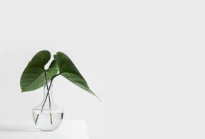Staycations: How to Make Home Feel Like a Vacation
