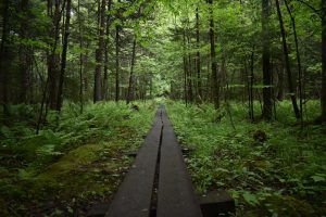 Vacations Off the Beaten Path: Unique Experiences Await